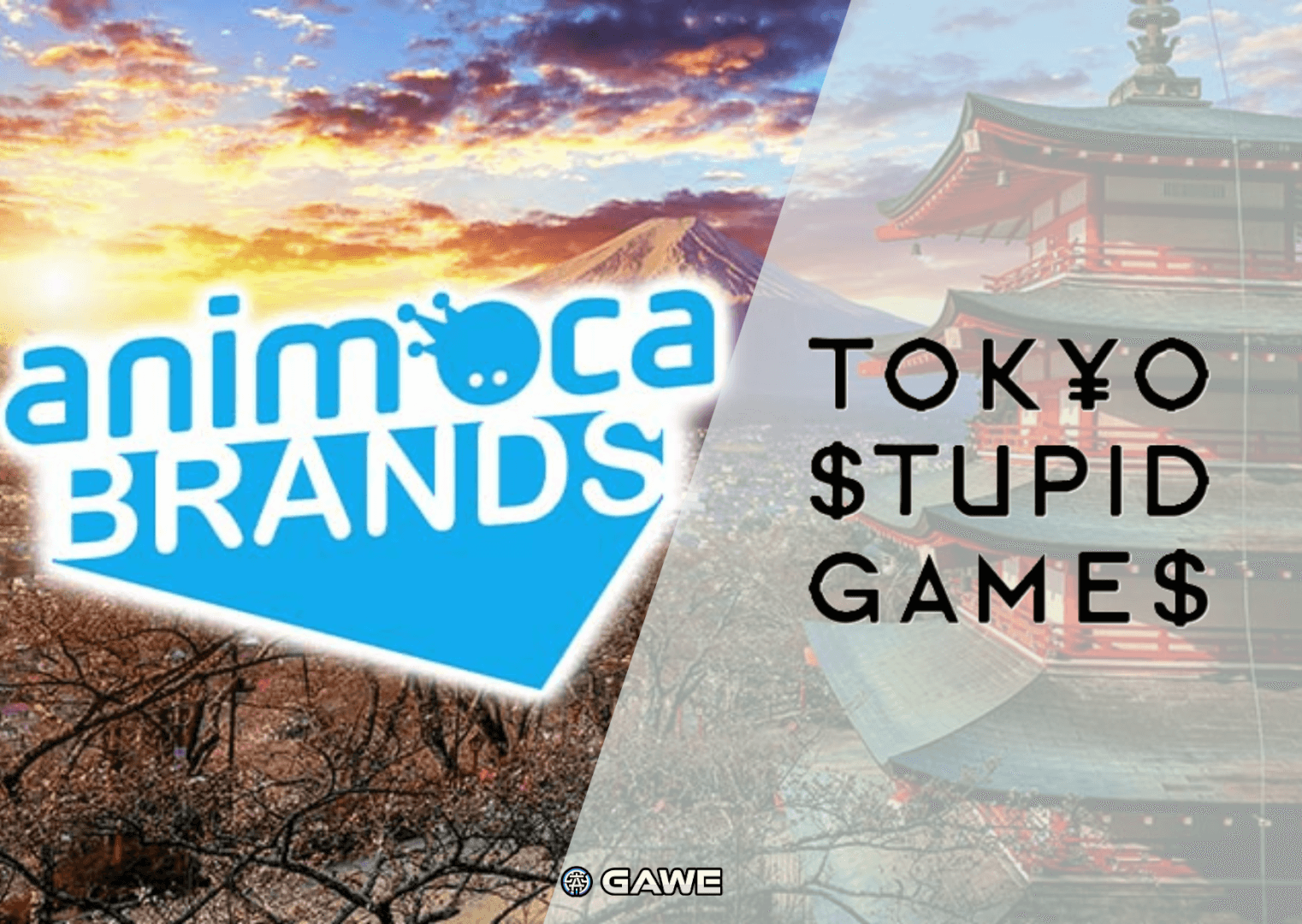 Animoca x TOKYO STUPID：Web3打造日本品牌新勢力