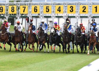 雇22个Agent在Hyperliquid上赛跑，我发现了什么？（附全部策略代码）