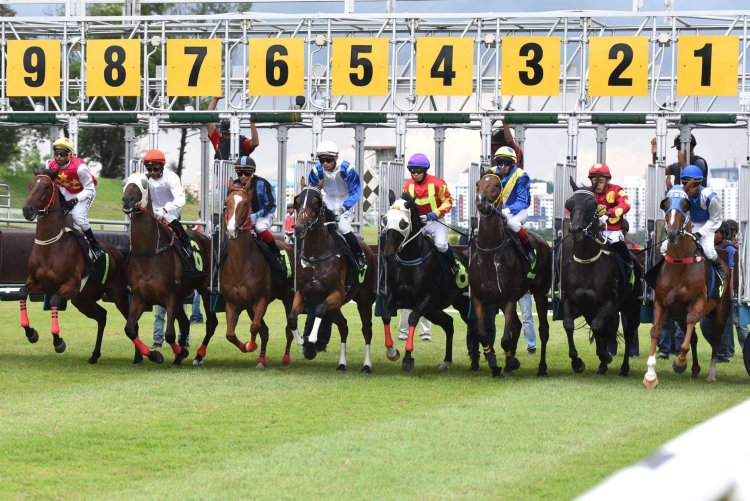 雇22个Agent在Hyperliquid上赛跑，我发现了什么？（附全部策略代码）