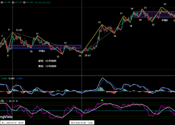 BTC反弹仍属修复，HYPE主升趋势启动 | 特邀分析
