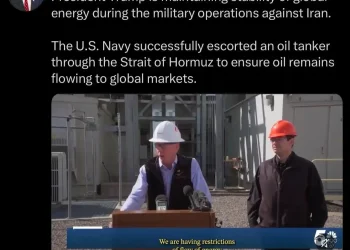 在算法眼里，石油和Memecoin没有区别