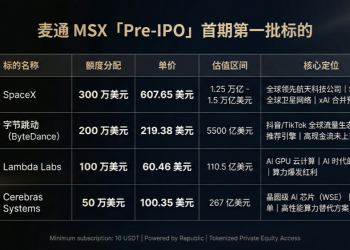 低门槛入股SpaceX、字节：麦通MSX联手Republic，开启全球顶级独角兽投资新纪元