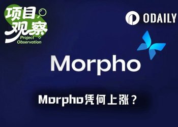Aave内战升级，Morpho悄然翻倍：借贷王座要换人了？