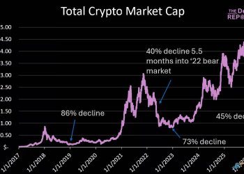 熊市五个半月：一份加密市场体检表