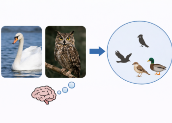 浙大研究团队提出新路径：把人脑理解世界的方式教给 AI
