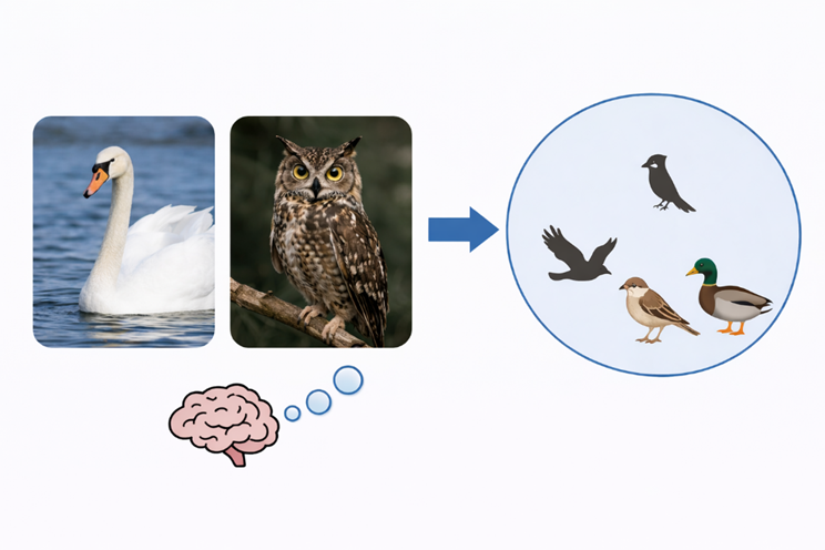 浙大研究团队提出新路径:把人脑理解世界的方式教给 AI
