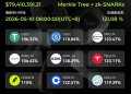 从$100到$350:MSX首发Cerebras成功退出,链上RWA完成闭环