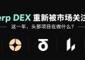 Perp DEX重新被市场关注：这一年，头部项目在做什么？