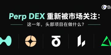 Perp DEX重新被市场关注：这一年，头部项目在做什么？