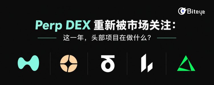 Perp DEX重新被市场关注：这一年，头部项目在做什么？