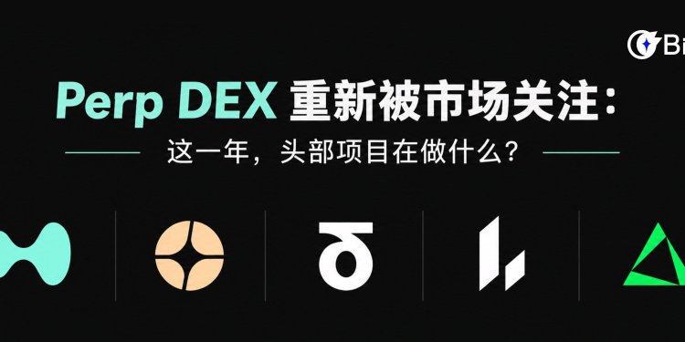 Perp DEX重新被市场关注：这一年，头部项目在做什么？