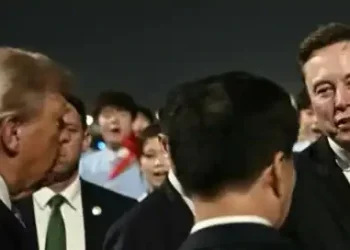 特朗普访华，空军一号上都有哪些CEO