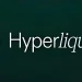 What Is Hyperliquid (HYPE/HYPEEVM)? Complete Guide To Crypto Features ...