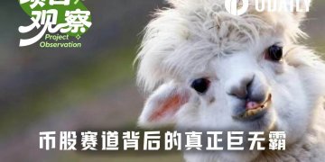 独占94%市场份额,谁是币股竞赛背后的真正赢家?