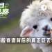 独占94%市场份额，谁是币股竞赛背后的真正赢家？