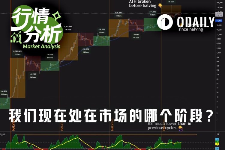 数据破译BTC周期：三大见底信号齐亮，Q4或成关键转折窗口？