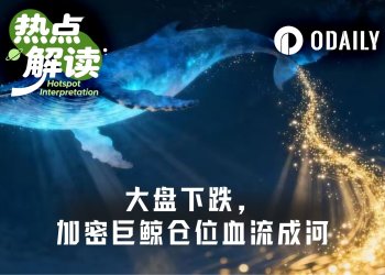 BTC跌破6万美元、ETH失守1600美元,加密巨鲸在为市场扛单?