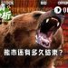 我们离加密熊市结束还有多远？