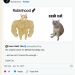 CASHCAT：Robinhood链的第一个爆款，来自它的「曾用名」