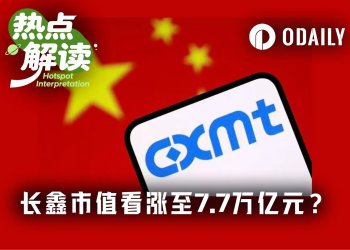 机构、链上资金都看好长鑫继续大涨，除了韩国人