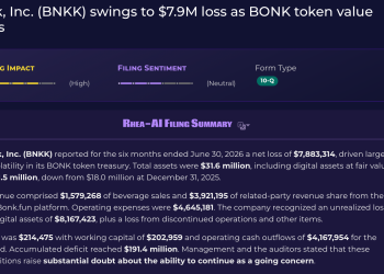 只剩21万现金，全靠创始人「输血」？BONK加密财库公司还能撑多久？