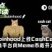Robinhood上线CashCat,下一个Meme币工厂已就位